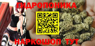 дмт Волжск